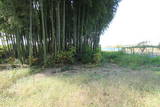 下野 稲毛田城の写真
