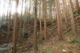 下野 猪倉城の写真