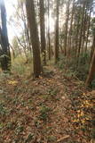 下野 猪倉城の写真
