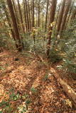 下野 猪倉城の写真