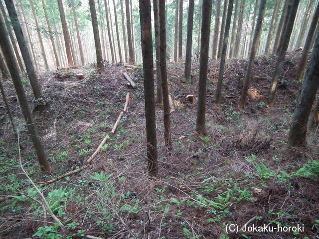 下野 伊王野城の写真