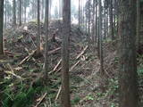 下野 伊王野城の写真