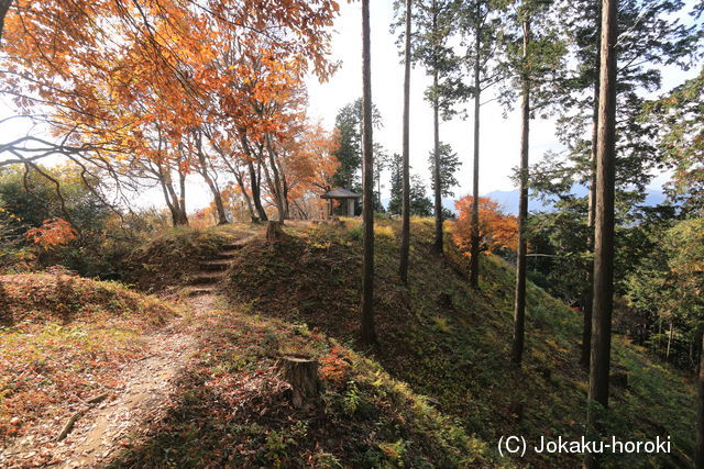 下野 板橋城の写真