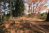 下野 板橋城の写真