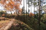 下野 板橋城の写真