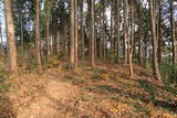 下野 板橋城の写真