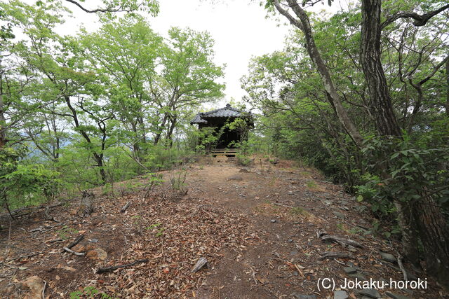 下野 板倉城の写真