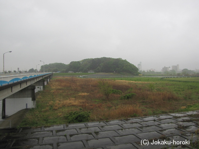 下野 岩井山城の写真