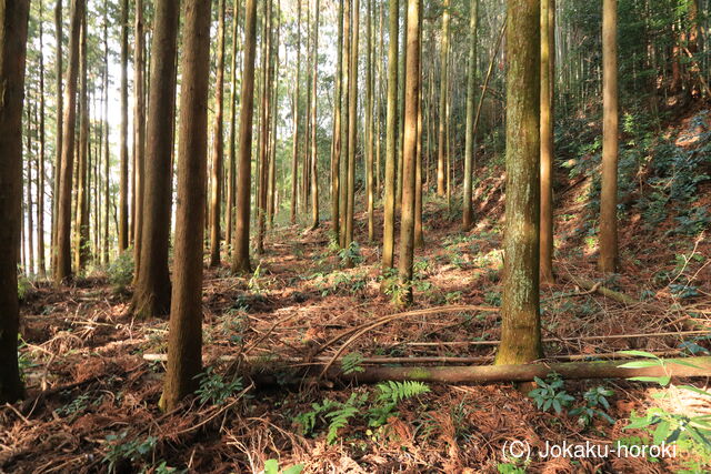 下野 泉城の写真