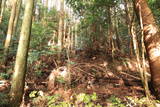 下野 泉城(矢板市)の写真