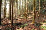 下野 泉城(矢板市)の写真