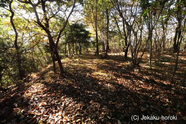 下野 樺崎城の写真