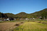 下野 樺崎城の写真