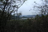 下野 樺崎城の写真