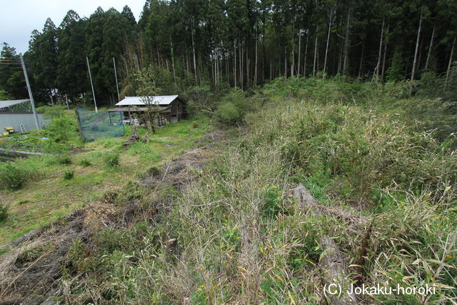 下野 上川井城の写真