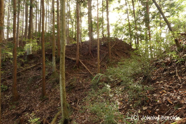 下野 上南摩城(上の御城)の写真