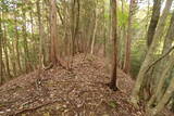 下野 上南摩城(上の御城)の写真