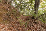 下野 上南摩城(上の御城)の写真
