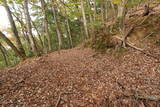 下野 上南摩城(上の御城)の写真
