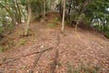 下野 上南摩城(上の御城)の写真