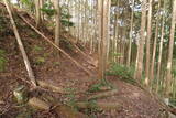 下野 上南摩城(上の御城)の写真