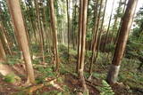 下野 上南摩城(上の御城)の写真