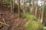 下野 上南摩城(上の御城)の写真