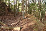 下野 上南摩城(上の御城)の写真