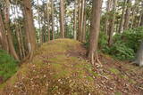 下野 上南摩城(上の御城)の写真