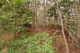 下野 上南摩城(上の御城)の写真