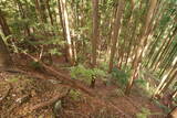 下野 上南摩城(上の御城)の写真