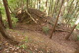 下野 上南摩城(上の御城)の写真