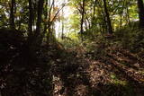 下野 上南摩城(上の御城)の写真