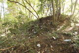 下野 上南摩城(上の御城)の写真