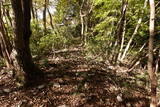 下野 上南摩城(上の御城)の写真