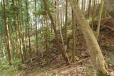 下野 上南摩城(上の御城)の写真