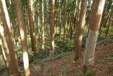 下野 上南摩城(上の御城)の写真