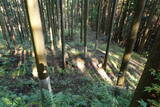 下野 上南摩城(上の御城)の写真