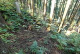下野 上南摩城(上の御城)の写真