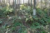 下野 上南摩城(上の御城)の写真
