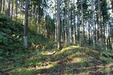 下野 上南摩城(上の御城)の写真