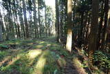 下野 上南摩城(上の御城)の写真