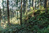下野 上南摩城(上の御城)の写真