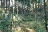 下野 上南摩城(上の御城)の写真