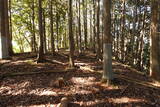 下野 上南摩城(上の御城)の写真
