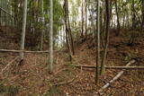 下野 金枝城の写真
