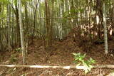 下野 金枝城の写真