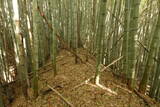 下野 金枝城の写真