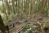 下野 金枝城の写真