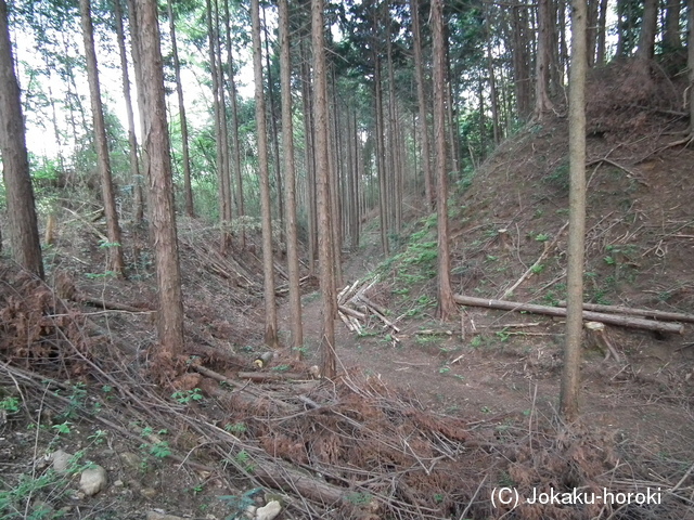 下野 金丸要害城の写真